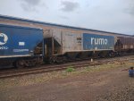 RUMO HPT-032988-6